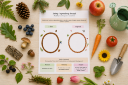 Leśny i ogrodowy koszyk – klasyfikacja