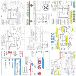 UKŁAD NERWOWY - KLASA 7