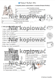 Karta pracy - czas Present Perfect (A2)