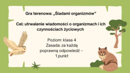 Gra terenowa, stacje zadaniowe przyroda klasa 4 "Poznajemy świat organizmów"