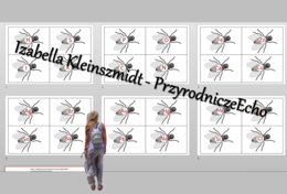 Gra "Muchy" - symbole pierwiastków. Chemia 7 i 8. Do zalaminowania w power point.