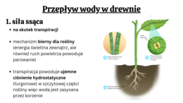 funkcjonowanie roślin KLASA 2 BIOLOGIA ROZSZERZONA