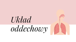 Układ oddechowy KLASA 2 PODSTAWA BIOLOGIA
