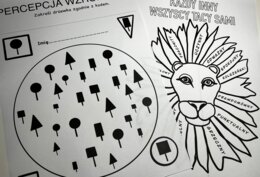 Zestaw ćwiczeń - percepcja wzrokowa, emocje, aktywność ruchowa