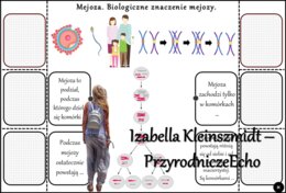 Notatka okienkowa/stacja zadaniowe/notatka/notatka graficzna/karta pracy/sketchnotka „Podziały komórkowe”, „Mitoza i mejoza”, „Znaczenie biologiczne mitozy i mejozy” w pdf. Biologia 8 dział „Genetyka”. Materiał wykonany na podstawie podręcznika z wydawni