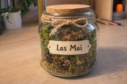 Słoik zapachów lasu