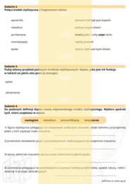 Test - środki stylistyczne