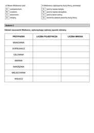 Test wielkanocny dla klas 7-8