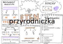 Klasa 8. Chemia. ETEN (karta pracy)