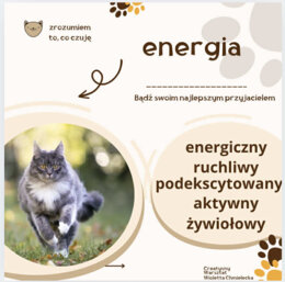 ROZUMIEM. CO CZUJĘ 20 kart z uczuciami i emocjami