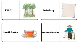 Domino - wyrazy pokrewne