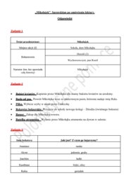 Sprawdzian po omówieniu lektury "Mikołajek"