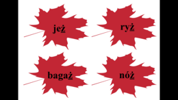 Jesienna ortografia - dekoracja