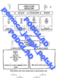 Zdania złożone współrzędnie i podrzędnie - wklejka