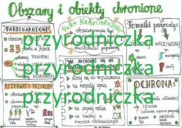 Obszary i obiekty chronione