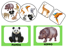 Zwierzęta egzotyczne angielskie flashcards + dobble + memory