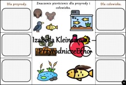 Notatka okienkowa/stacja zadaniowe/notatka interaktywna/notatka graficzna/karta pracy/sketchnotka „Pierścienice”, „Pierścienice-zwierzęta, które mają segmentowane ciało” w pdf. Biologia 5 , dział „Od parzydełkowców do pierścienic”. Materiał wykonany na p