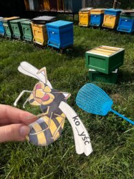 Gra w łapanie os - ortografia "rz" i "ż"