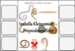 Notatka okienkowa/stacja zadaniowe/notatka interaktywna/notatka graficzna/karta pracy/sketchnotka „Nicienie - zwierzęta, które mają nitkowate ciało ”. Materiał wykonany na podstawie podręcznika z wydawnictwa Nowa Era – nowość 2024/2025. Biologia 6. Dział