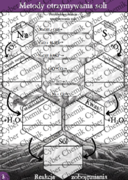 Karty pracy - Klasa 8. Chemia – Zestaw 6 kart pracy do działu 9 "Sole"