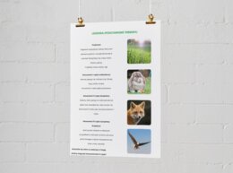 Plakat przedstawiający łańcuchy pokarmowe