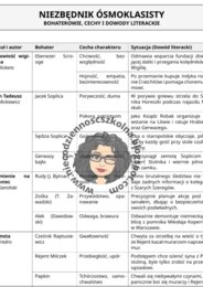MISJA: CECHY BOHATERÓW LEKTUR