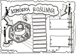 Klasa 5. Biologia. Komórka roślinna (dwie karty pracy)