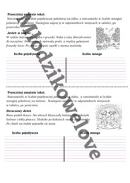 Gramatyka dla smyka- liczby rzeczownika