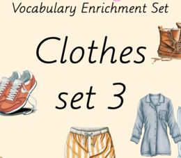 Zestaw kart obrazkowych: CLOTHES SET 3