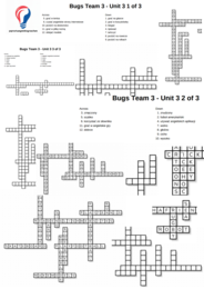 Bugs Team 3 – Unit 3 – krzyżówki