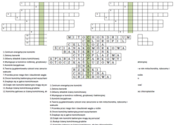 Logogryf na podsumowanie lekcji biologii w klasie 5 o komórce roślinnej