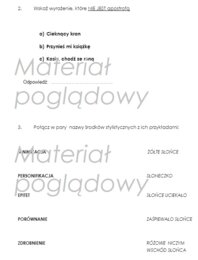 Środki stylistyczne - karta kontrolna /test