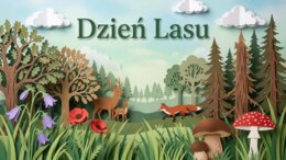 Las, Dzień Lasu, ekosystem leśny - prezentacja, plansze, gazetka