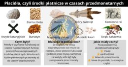 Grafika Płacidła