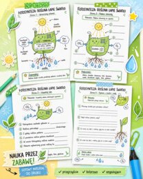 Fotosynteza. Roślina łapie światło