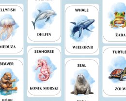 KARTY EDUKACYJNE ZE ZWIERZĘTAMI WODNYMI I MORSKIMI 12