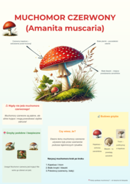Kolorowe plansze edukacyjne. Gatunki zwierząt, roślin, grzybów, owadów.