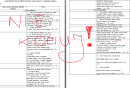 Jacek Soplica, ksiądz Robak, Pan Tadeusz, charakterystyka porównawcza, Przemiana Jacka Soplicy