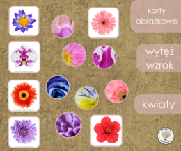 Gra - wytęż wzrok - kwiaty