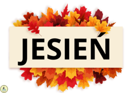 DEKORACJA JESIENNA - grafika XXL