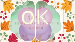 🍁 Name 3 – Autumn Edition 🍂 Zabawa językowa pełna jesiennych inspiracji!jesień, słownictwo, zabawa językowa, angielski dla dzieci, konwersacje, rozgrzewka, speaking, jesienne lekcje, gry językowe, A1–A2.autumn, fall, vocabulary practice, ESL game, speaki