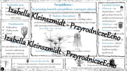 Sketchnotka - notatka „Parzydełkowce – najprostsze zwierzęta tkankowe” wykonana w power point do edycji. Biologia 6; „Od parzydełkowców do pierścienic”