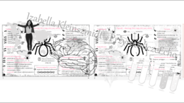 Sketchnotka - notatka „Pajęczaki – stawonogi, które mają cztery pary odnóży” wykonana w power point do edycji. Biologia 6; „Stawonogi i mięczaki”