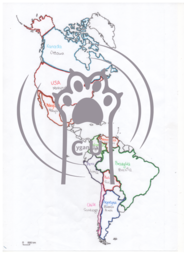 Notatki z Geografii PDF – Ameryka: państwa, rzeki, góry, morza [fiszki/mapy]