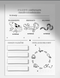 Płazy- graficzna notatka do zeszytu