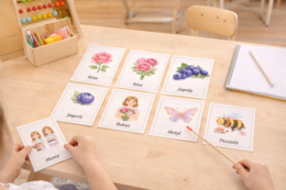 Fiszki obrazkowe. Róże i jagody