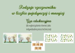 Rodzaje rzeczownika - gra