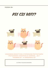 Lekcja jpjo poziom B1+