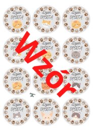 Dzień Kota 17 lutego