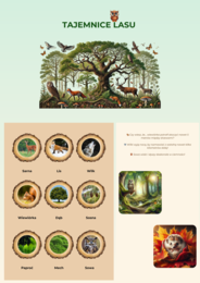 Plansze z ekosystemami (Las, łąka, jezioro)